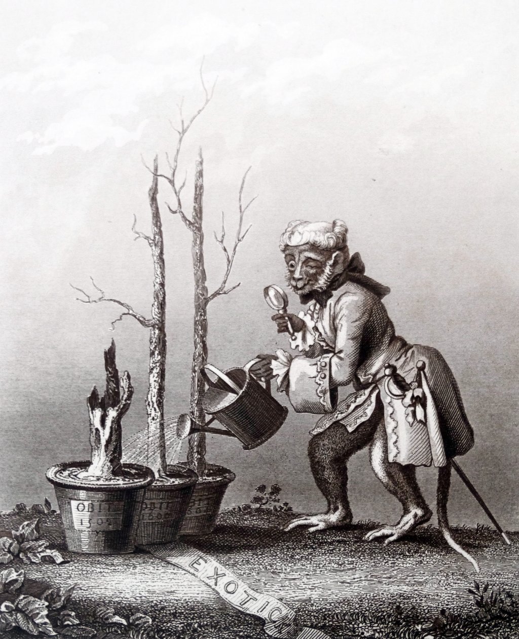 Halestykke til kunstnerens katalog av William Hogarth