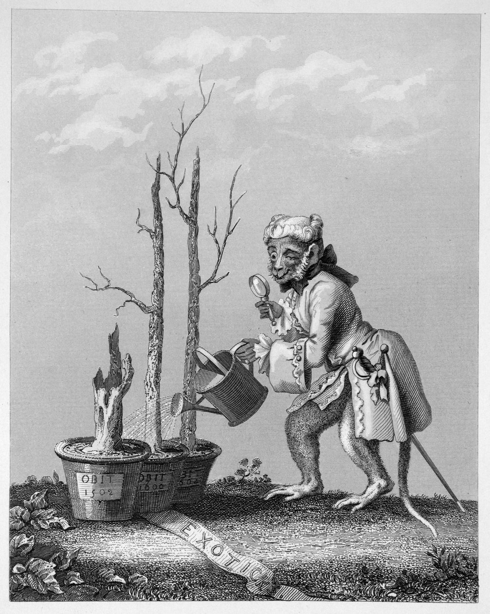 Tail, Piece to the Artists catalogue, 1761 av William Hogarth
