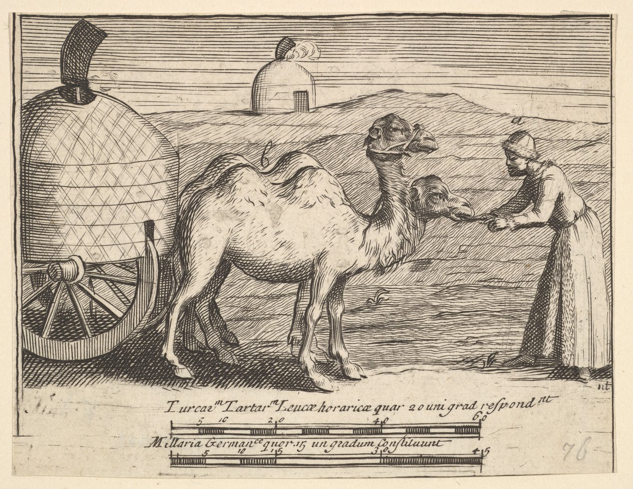To Dromedarer Aubry de La Mottrayes reiser gjennom Europa, Asia og inn i del ..., 1723-24. av William Hogarth