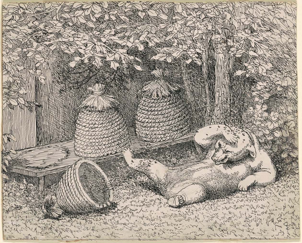 Bjørn stukket av bier av William Holbrook Beard