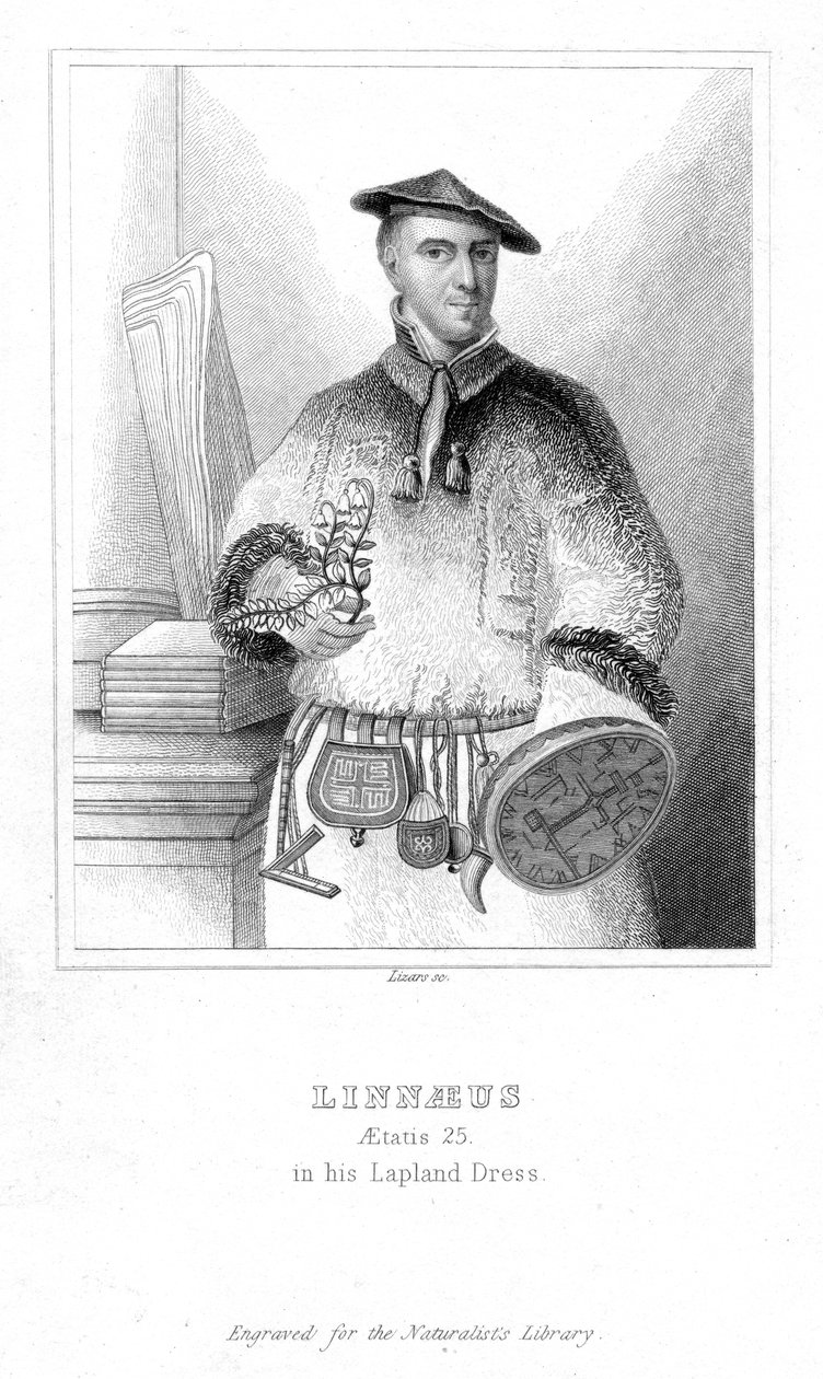 Carolus Linnaeus, svensk naturforsker, 1732 tidlig på 1800-tallet av William Home Lizars