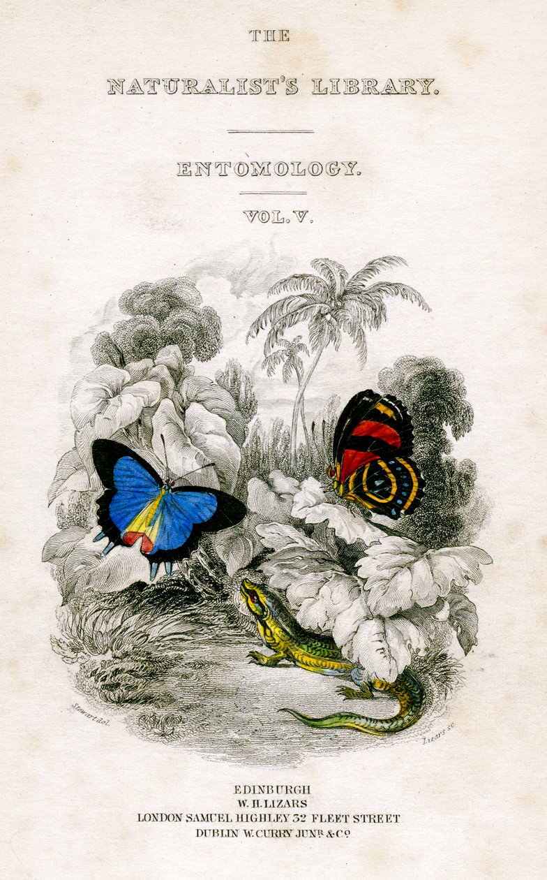 The Naturalists Library, Entomology, Vol V, Butterflies, c1833-1865. av William Home Lizars