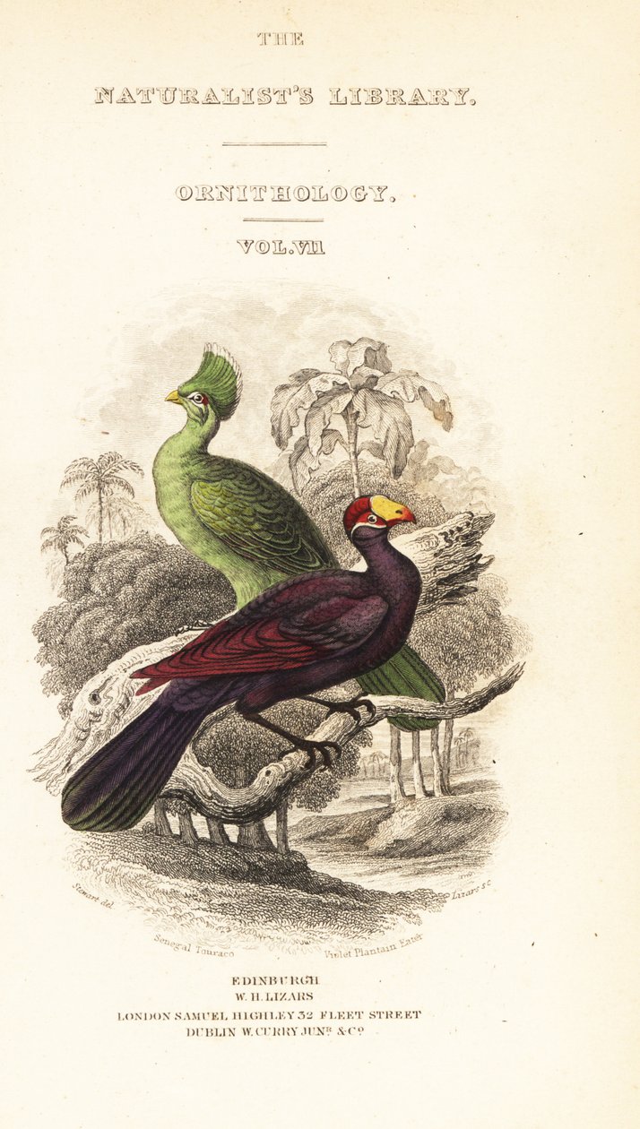 Tittelside med vignett av Guinea turaco, Tauraco persa buffoni og fiolett turaco, Musophaga violacea av William Home Lizars