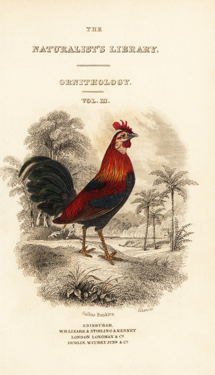 Tittelblad med vignett av rød junglefugl (Javan), Gallus gallus bankiva av William Home Lizars
