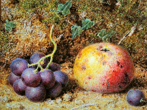 Epler og druer (akvarell med kroppsfarge på papir) av William Hough