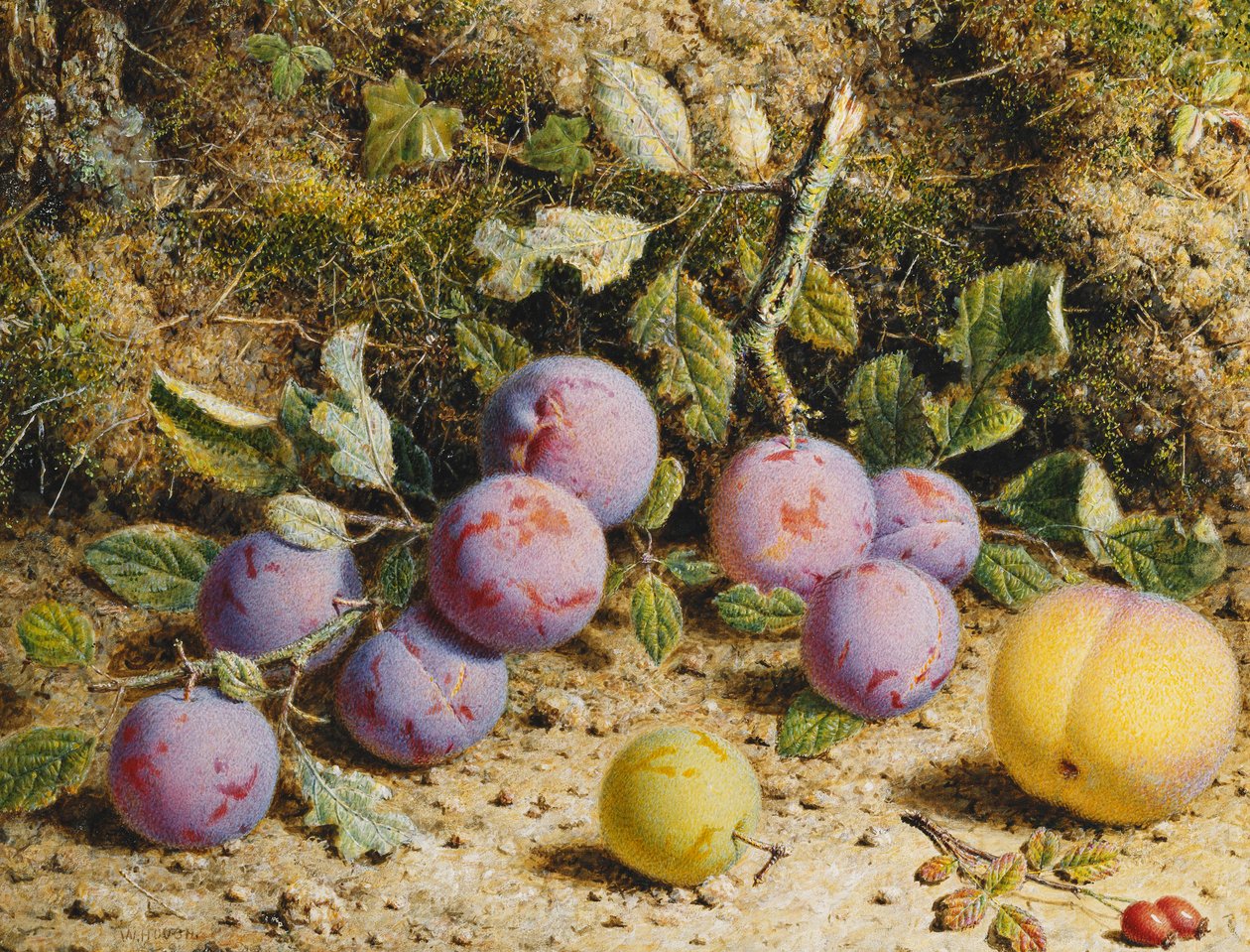 Stilleben med plommer, fersken og nyper, av William Hough