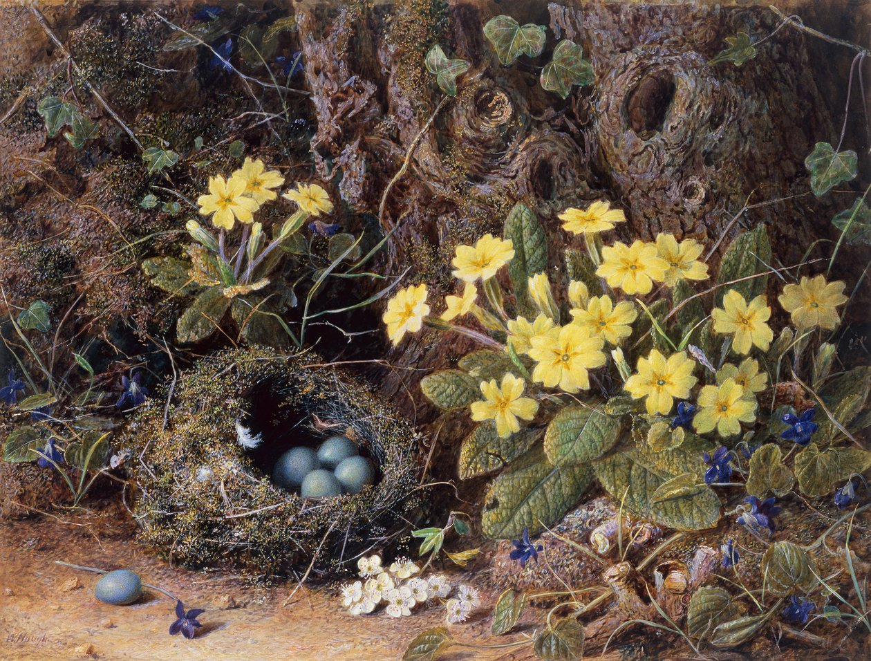 Stilleben med et fuglerede, primula og fioler (blyant og akvarell) av William Hough