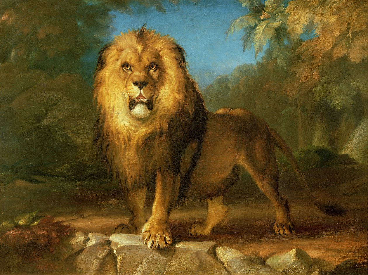 En løve, 1840 av William Huggins