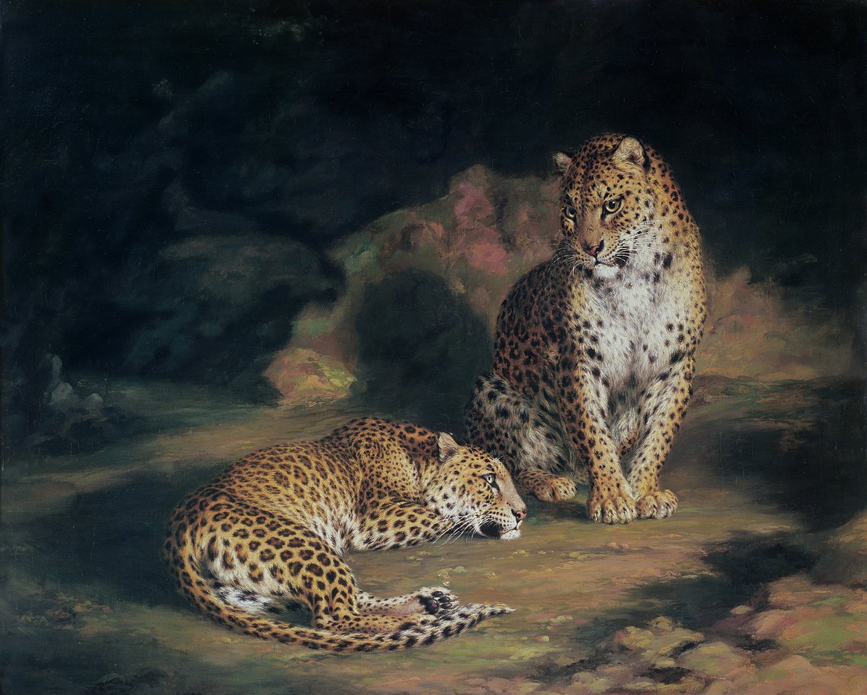 Et par leoparder, 1845 av William Huggins