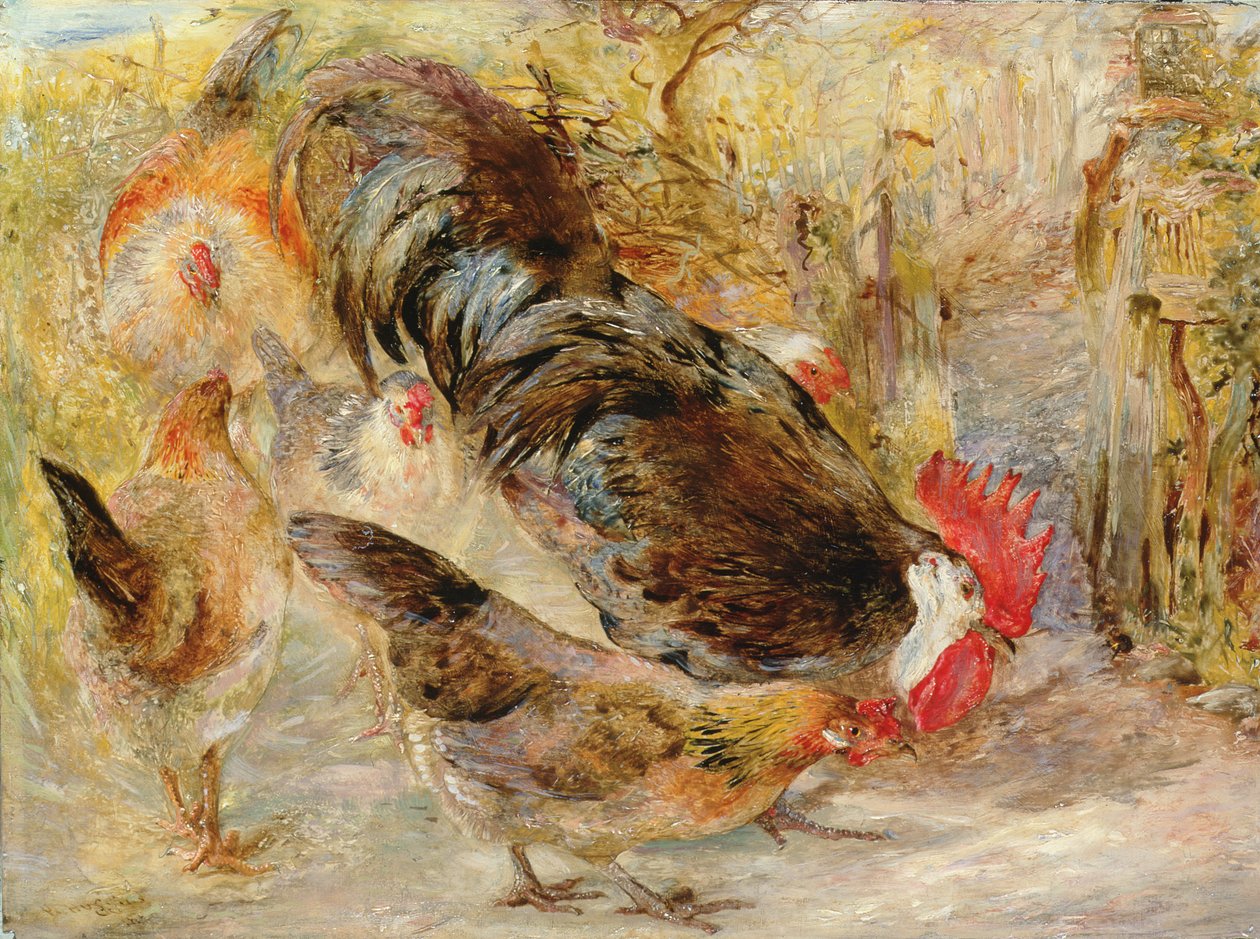Barn Door Fowl (Rhode Island Reds), 1860 av William Huggins