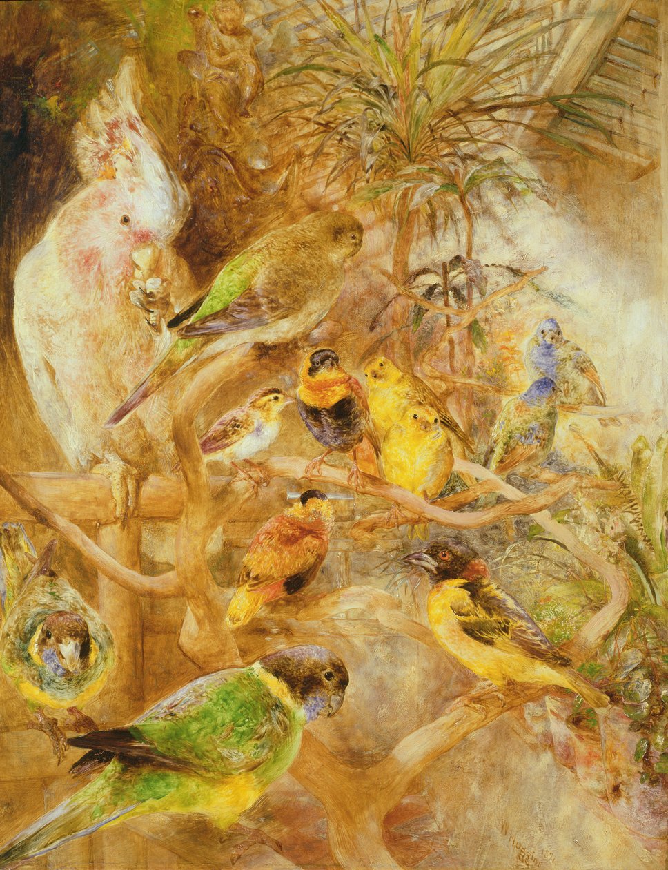 Fuglevoliere, 1871 av William Huggins