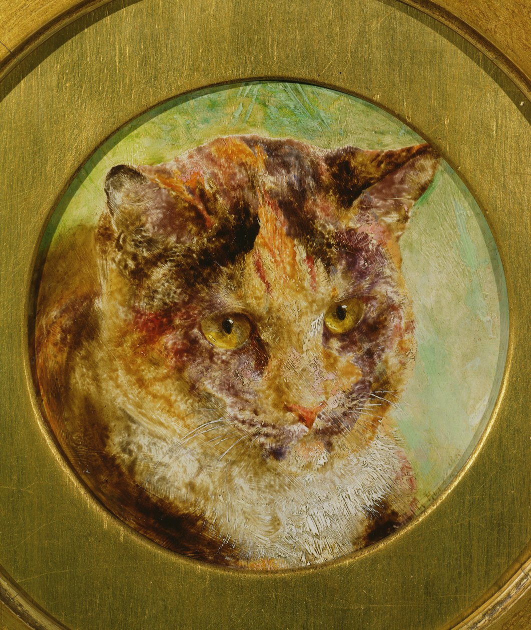 Studie av en skilpaddekatt av William Huggins