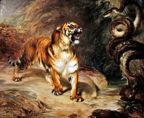 Tiger og pyton av William Huggins