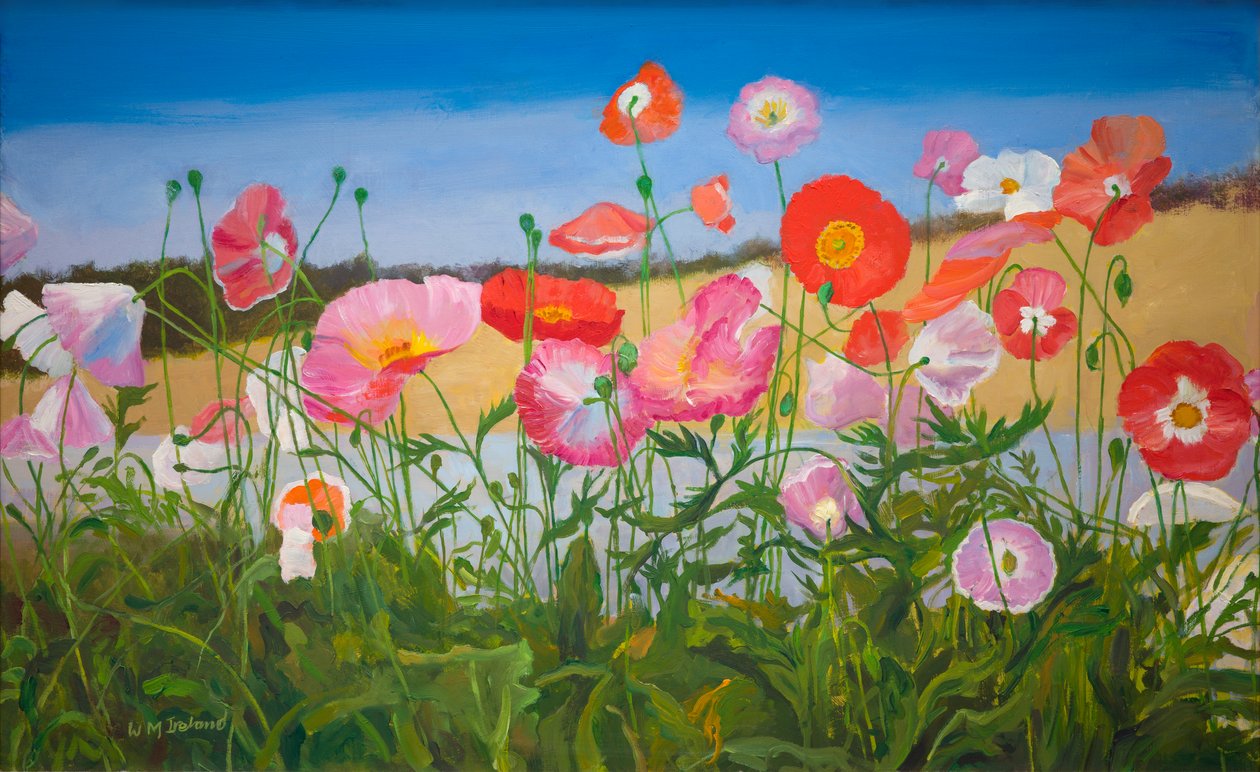 Valmuer (olje om bord) av William Ireland