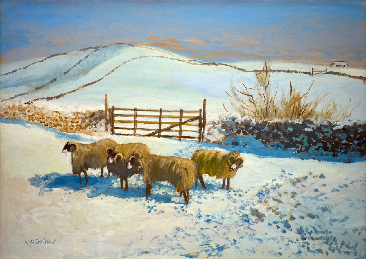 Snø i Yorkshire Dales (olje om bord) av William Ireland