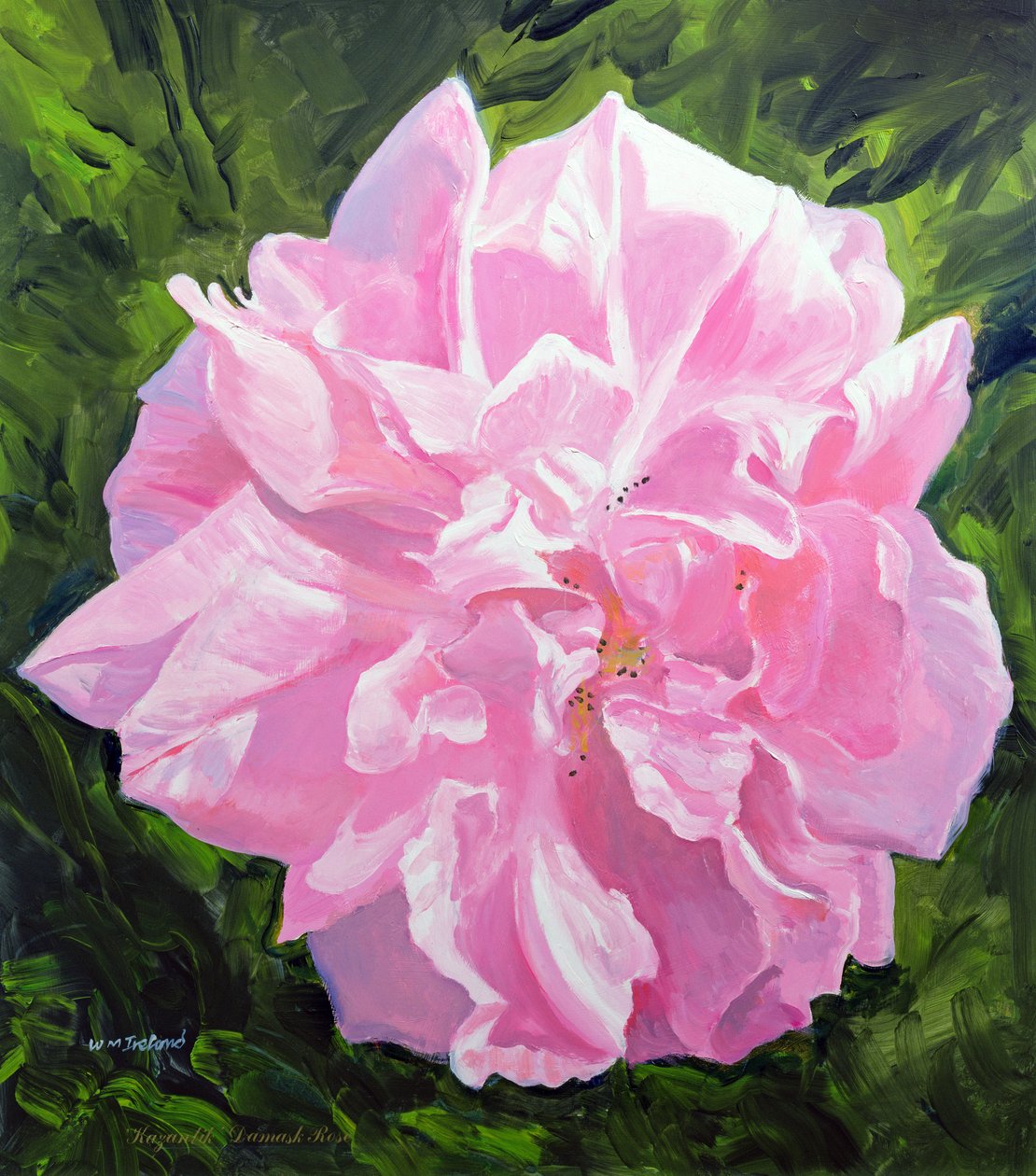 viktoriansk rose av William Ireland