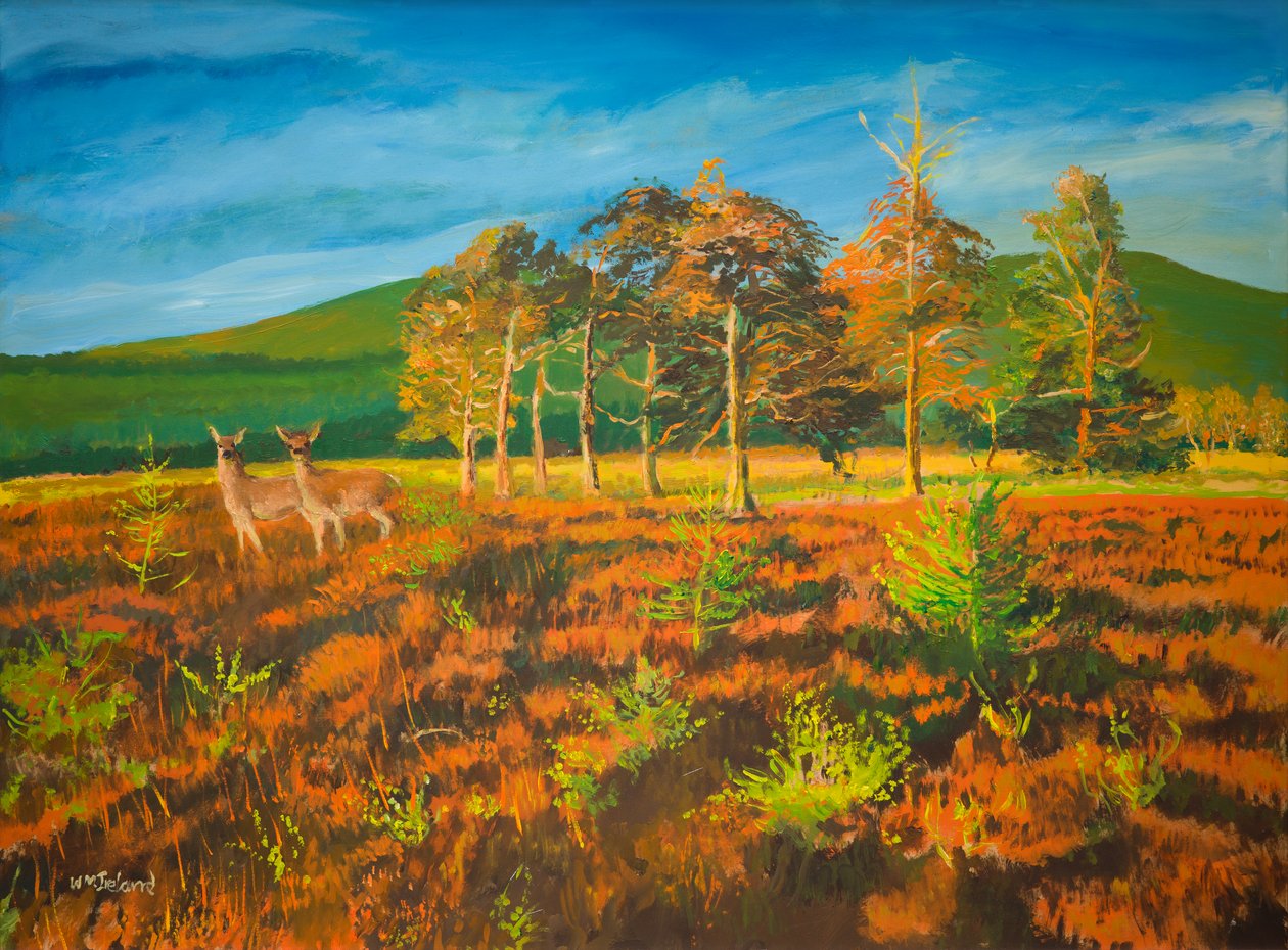 Nei. Aviemore, Skottland (olje om bord) av William Ireland