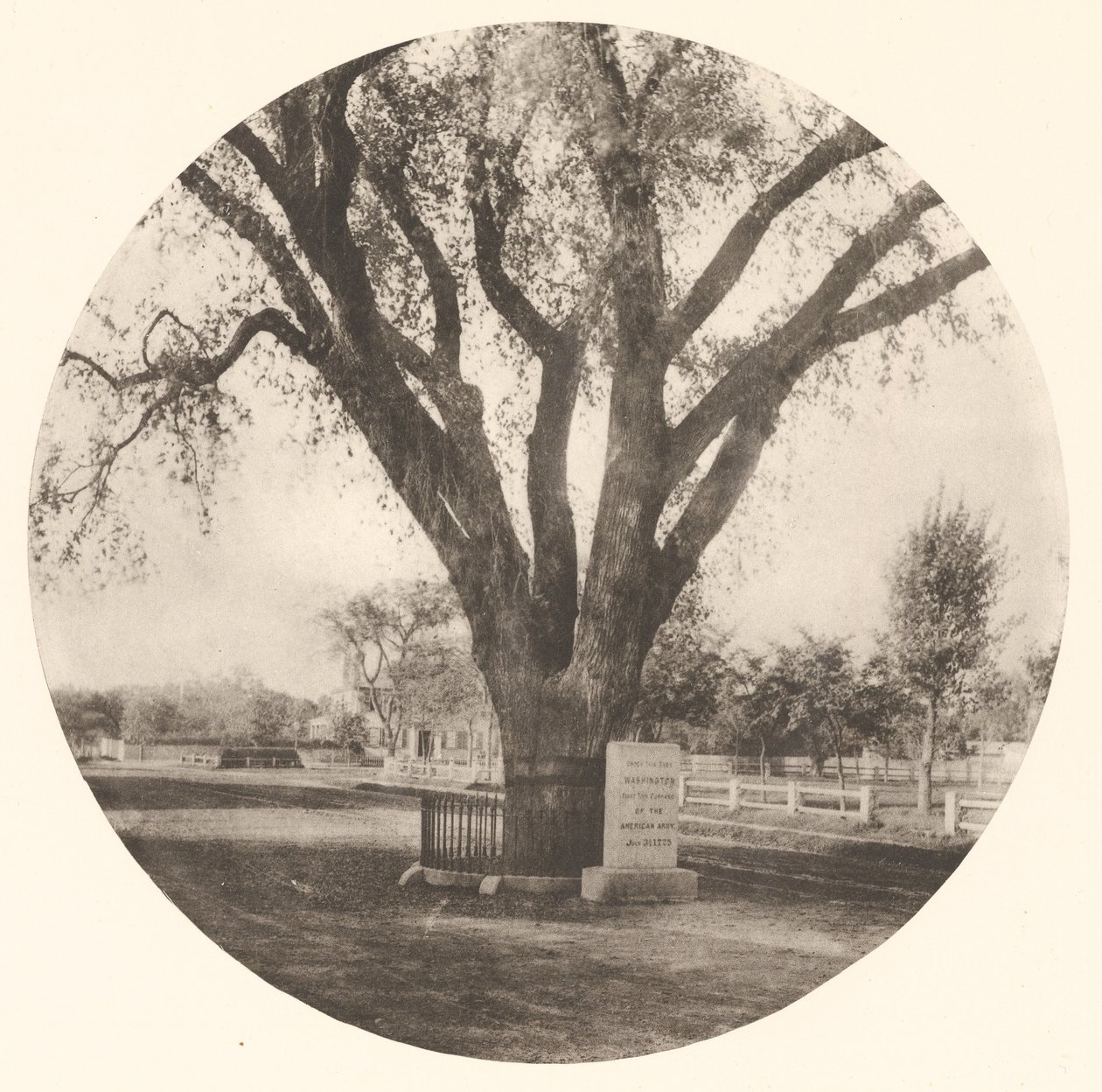  av William J. Stillman