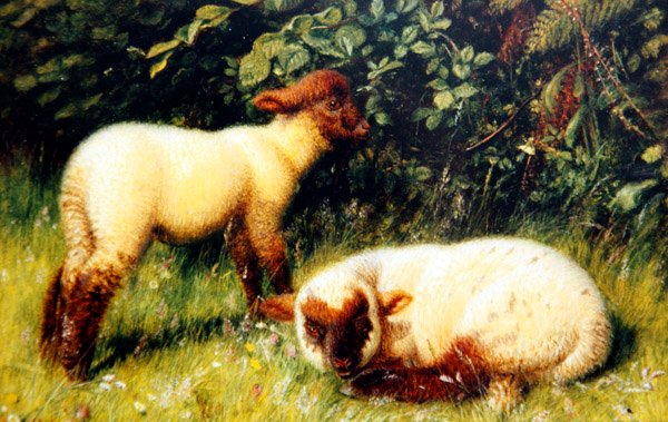 Sau, ca. 1860 (olje om bord) av William J. Webbe or Webb
