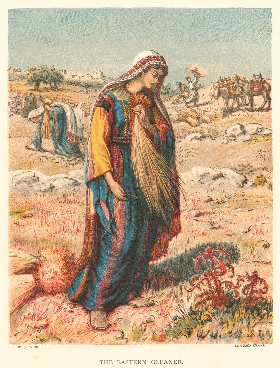 Den østlige sankeren (farget gravering) av William J. Webbe or Webb