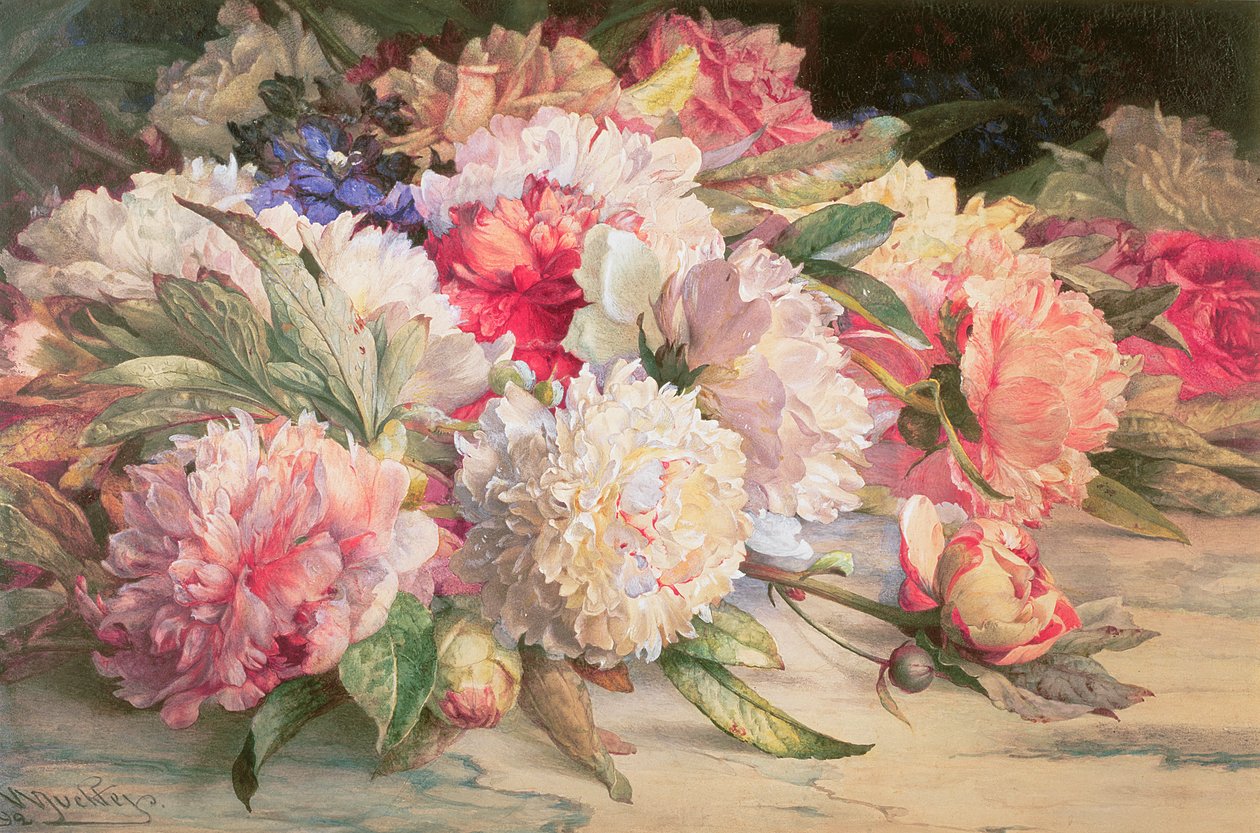 Peonies, 1892 (blyant, wc, forsterket med hvit og gummi arabicum på papir) av William Jabez Muckley