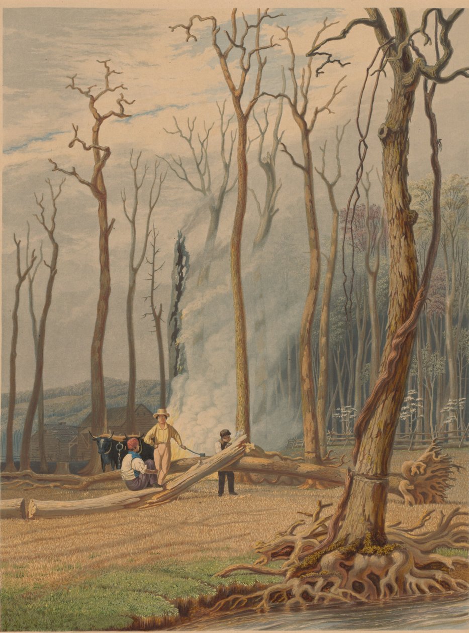 Våren - brenner falne trær i en omgitt lysning. Vestlig scene, 1841. av William James Bennett