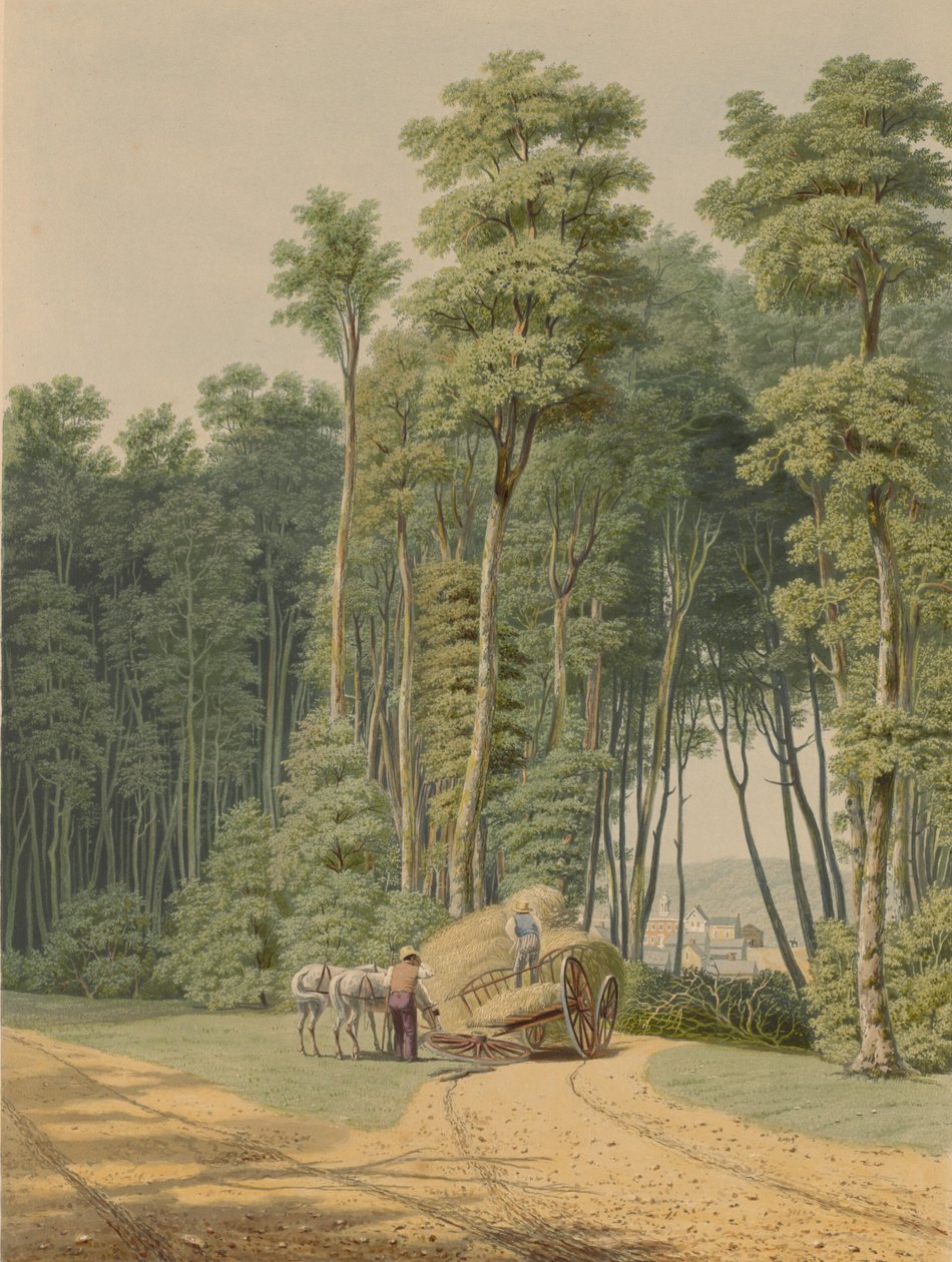 Sommer - en trafikkulykke. Et glimt gjennom en åpning av Primitive Forest... 1841. av William James Bennett