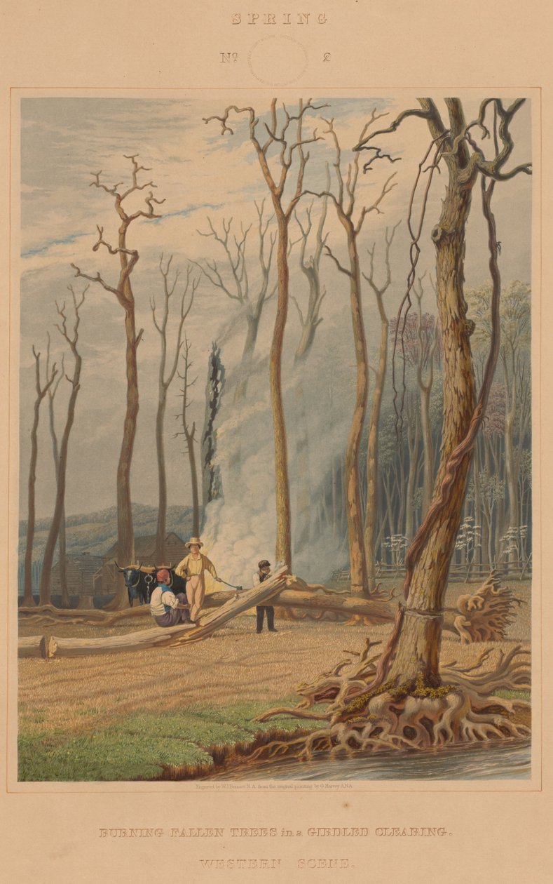 Våren - brennende falne trær i en omgitt lysning. Vestlig scene av William James Bennett after George Harvey