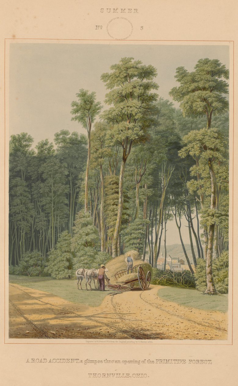 Sommer - en trafikkulykke. Et glimt gjennom en åpning av Primitive Forest. Thornville, Ohio av William James Bennett after George Harvey