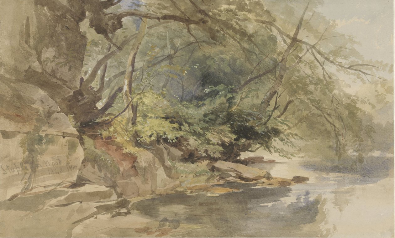 Ansikt i Stapleton Wood, nær Bristol av William James Muller