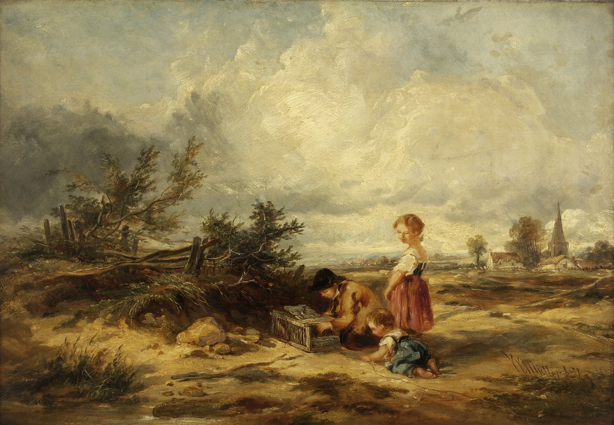 Hampstead Heath, fuglefellen av William James Muller
