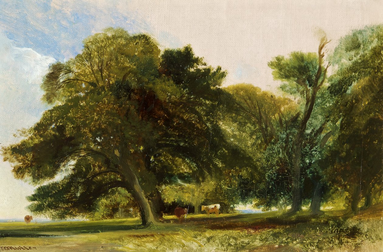Kingsweston Park - Sketch, ca. 1833 (olje på lerret) av William James Muller