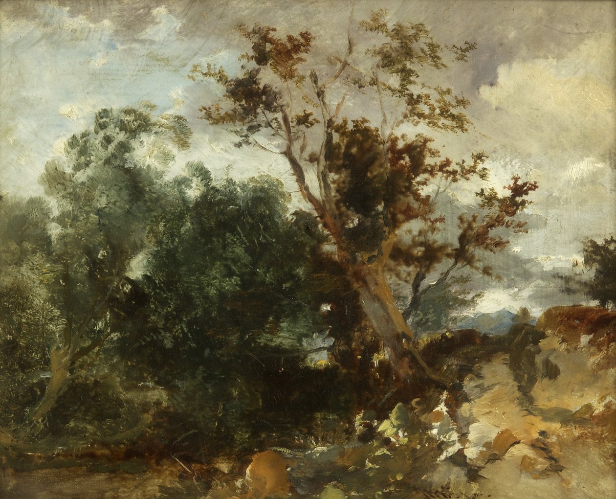 Study of Trees, ca. 1840 (olje på kobber) av William James Muller