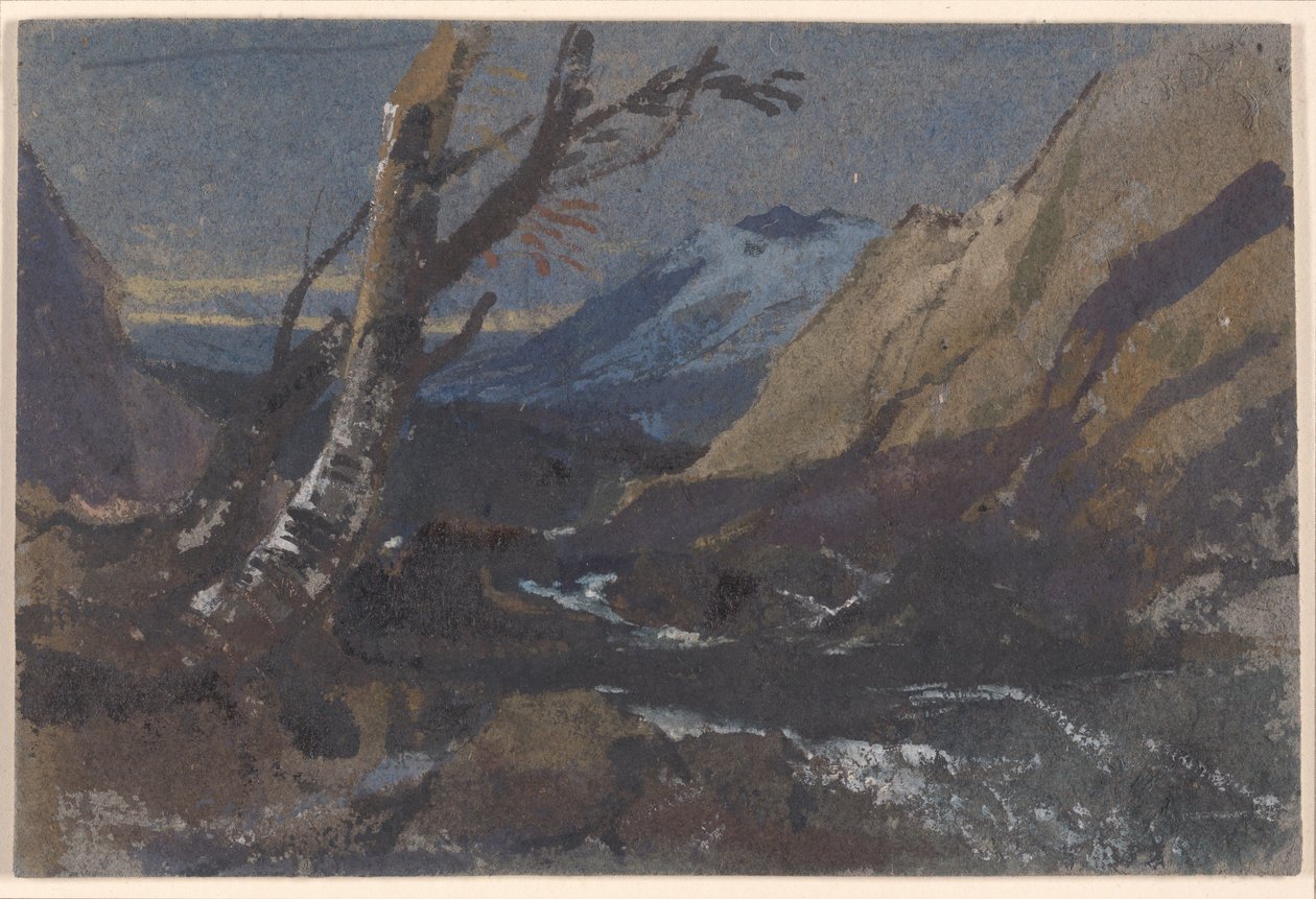 Studie av trær ved en fjellbekk av William James Muller