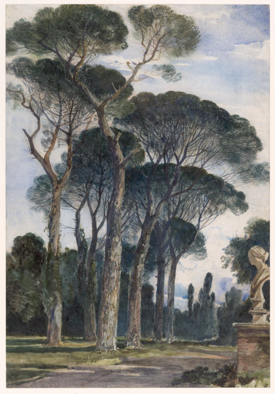 Pinjetrær i Villa Borghese, Roma av William James Muller