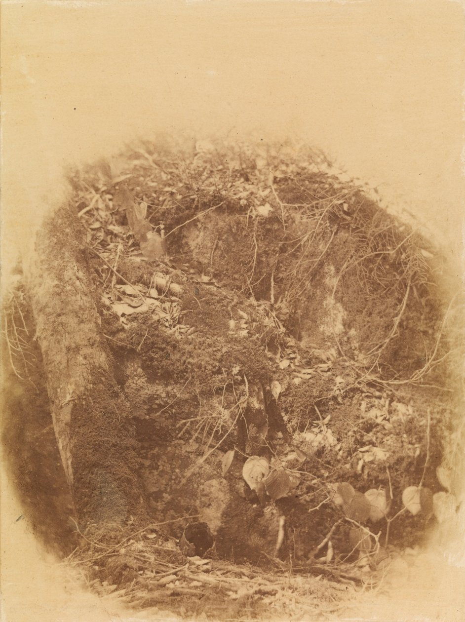  av William James Stillman
