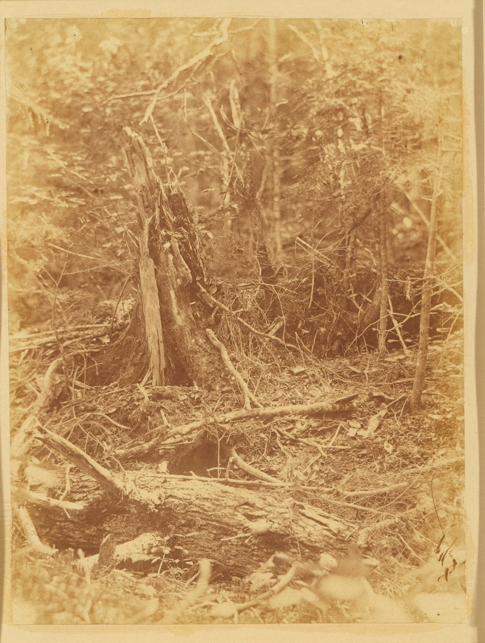  av William James Stillman