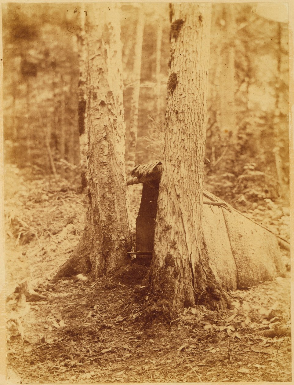  av William James Stillman