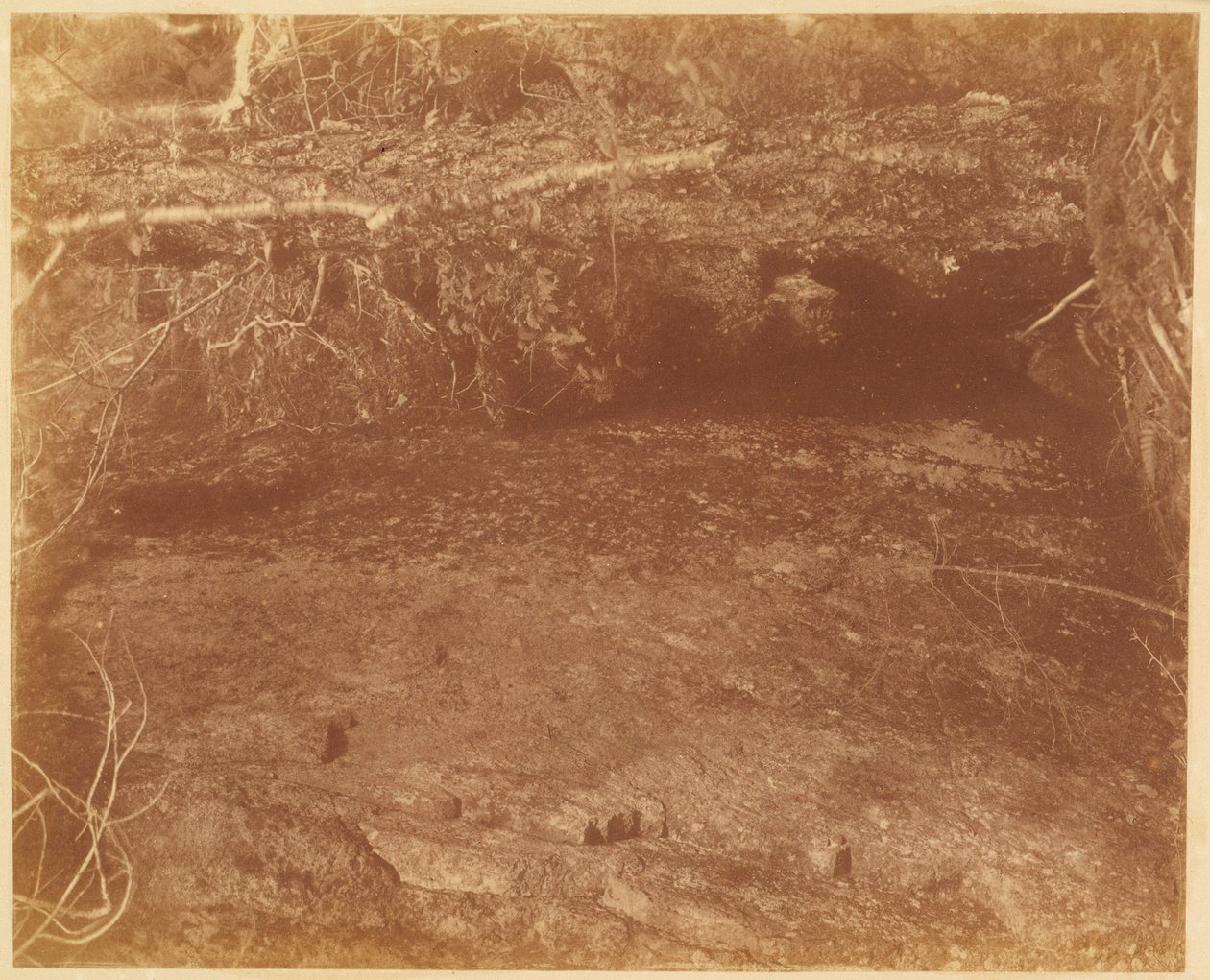 av William James Stillman