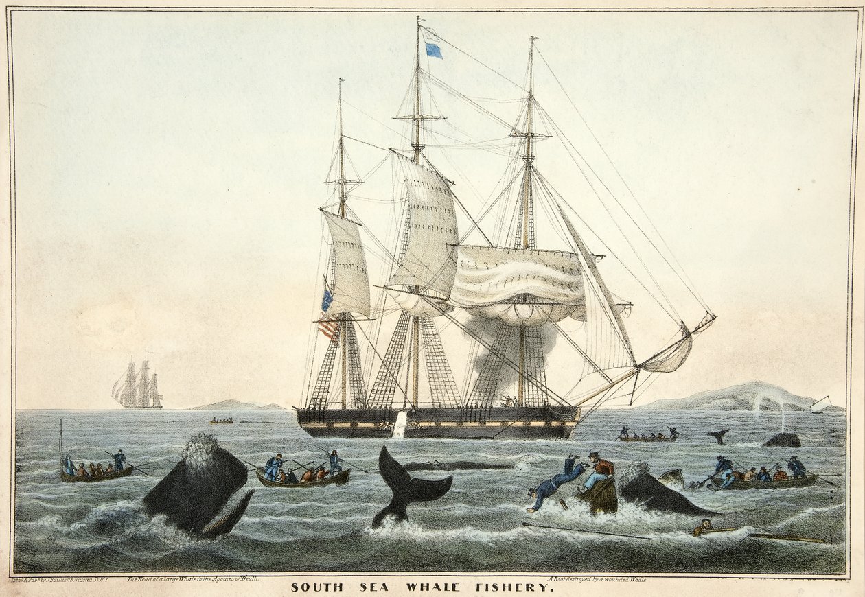 South Sea Whale Fishery, pub. 1825 (fargelitografi) av William John Huggins