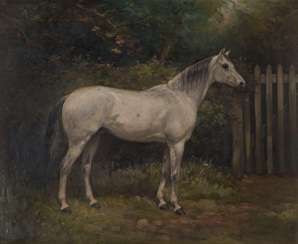 Pickles: en Basuto-ponni, ca. 1904 (olje på lerret) av William Josiah Redworth