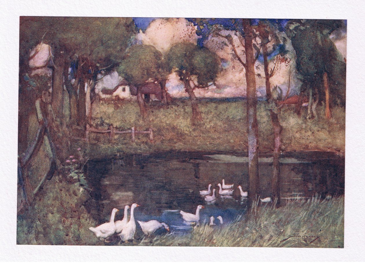 De støyende gjessene som gabblet over bassenget (farge litho) av William Lee Hankey