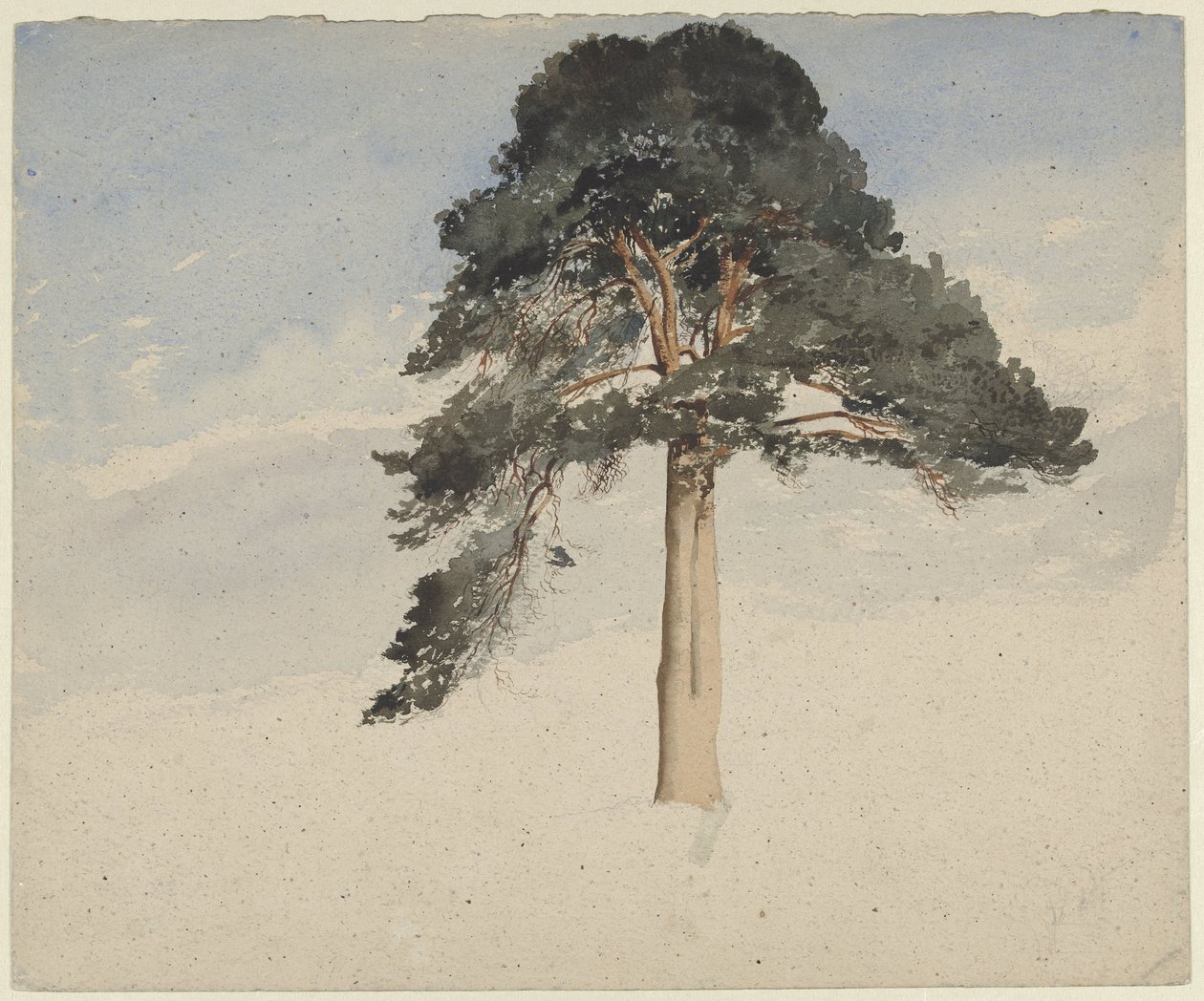 Skotsk furutre av William Leighton Leitch