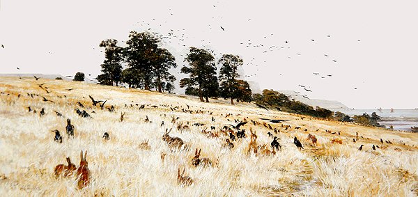 A Rookery, ca. 1889 (olje på lerret) av William Lionel Wyllie