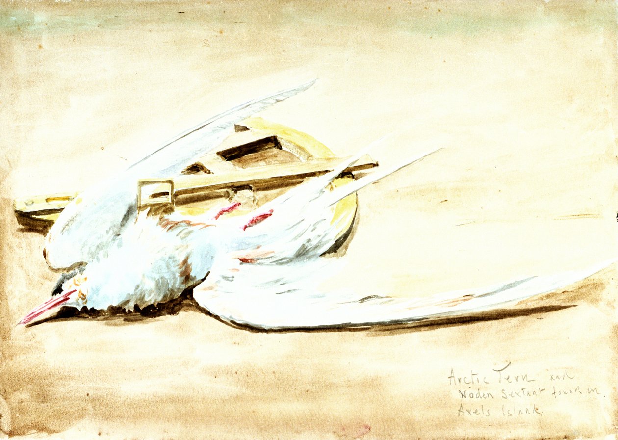  av William Lionel Wyllie