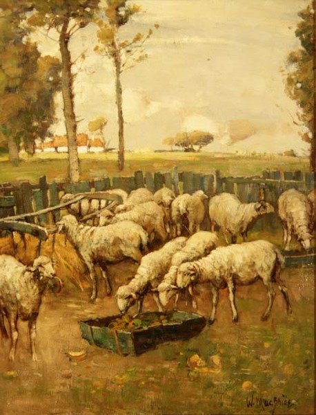 Sauefolden av William McBride