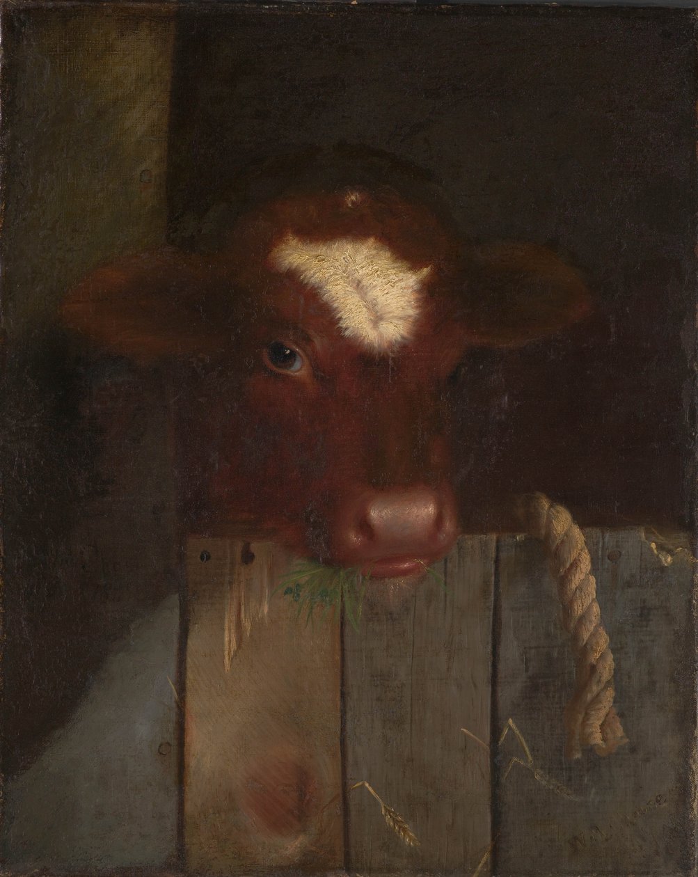 Familiekua av William Merritt (after) Chase