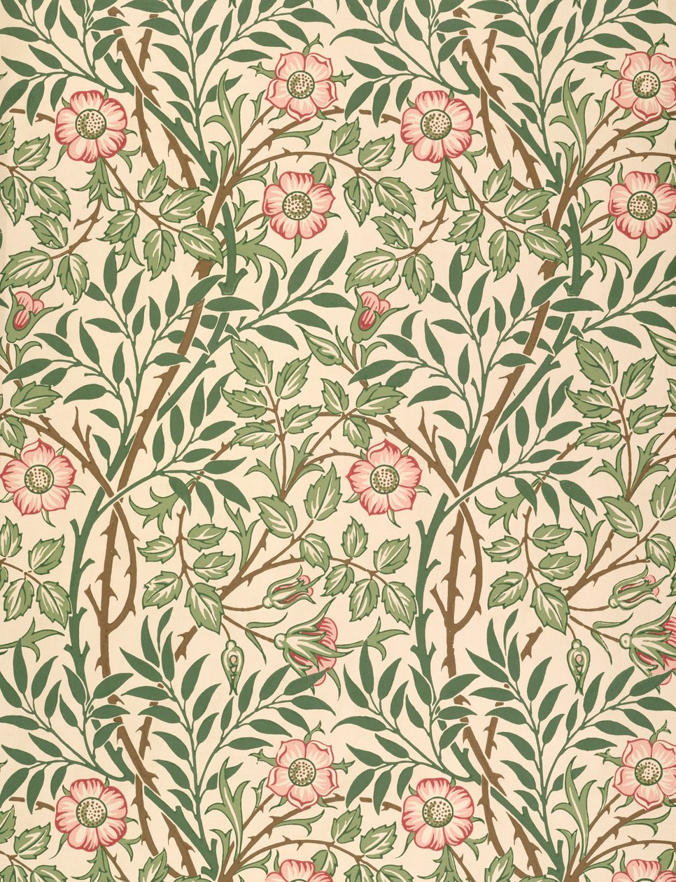 'Sweet Briar' design for tapet, trykt av John Henry Dearle (1860-1932) 1917 av William Morris
