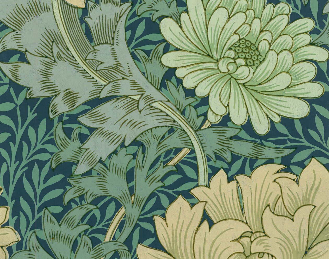 William Morris bakgrunnsprøve med krysantemum av William Morris