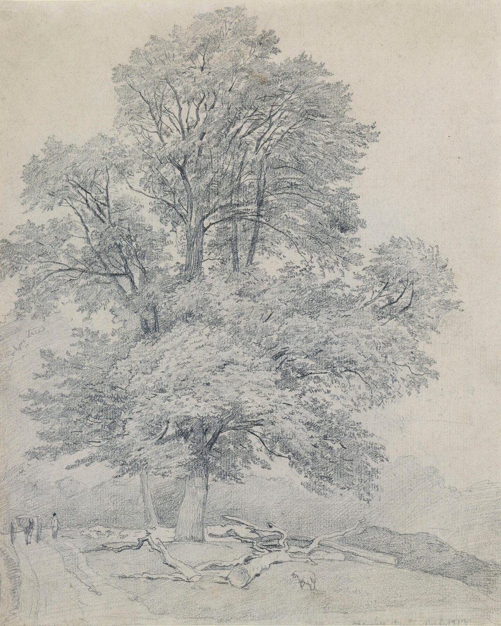 En fjellalm ved Hawley, Hampshire av William Mulready